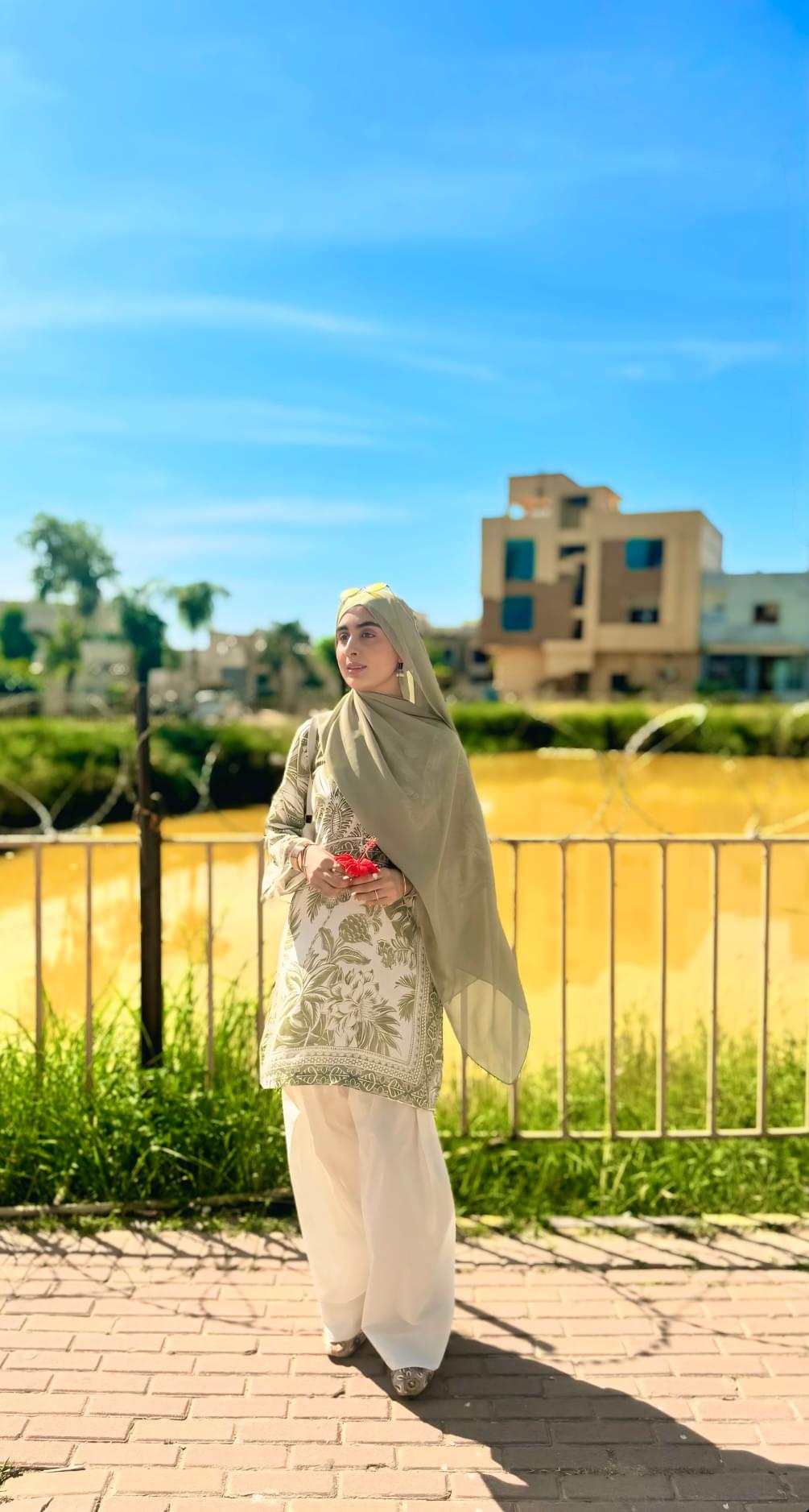 Zaitoon