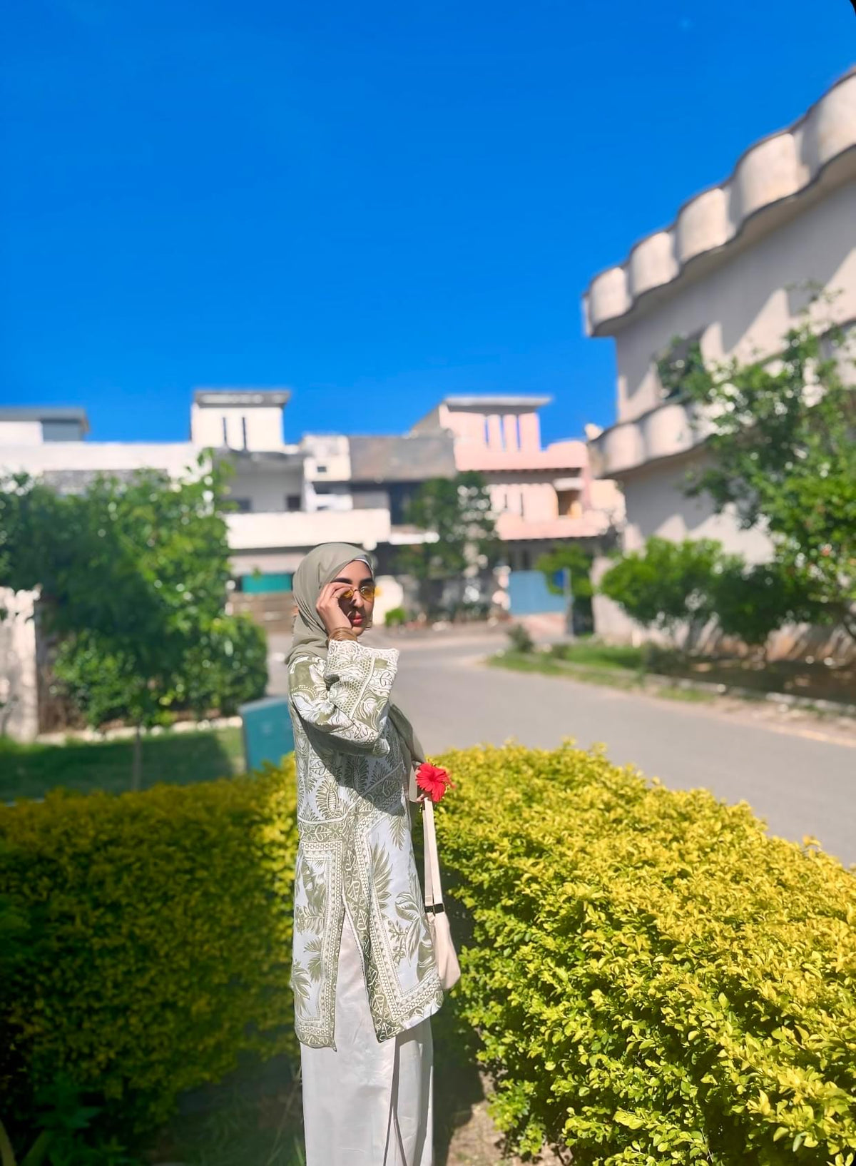 Zaitoon
