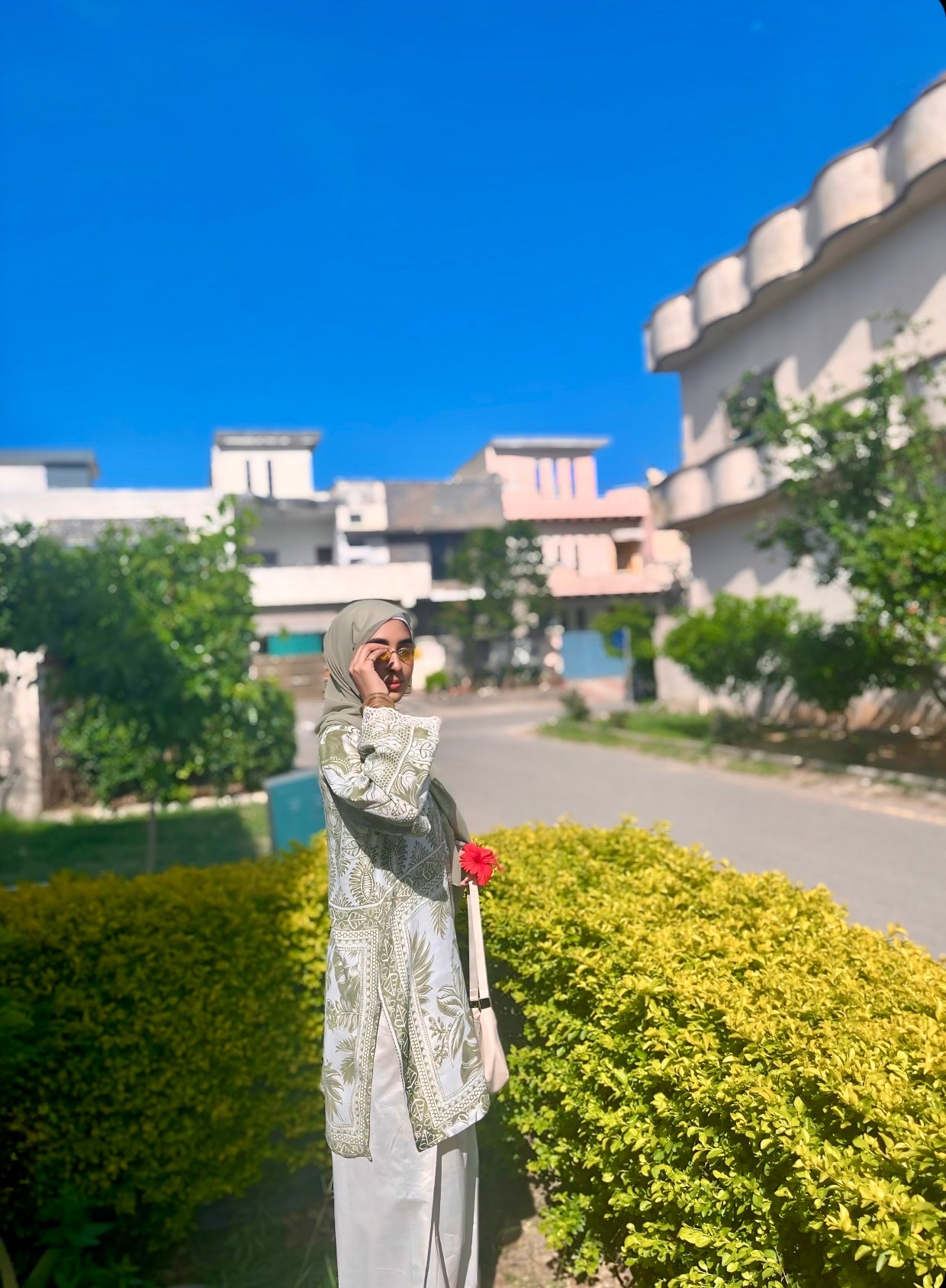 Zaitoon